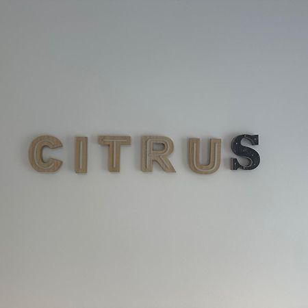 Citrus Suite By Alhaurin Loft City Center Alhaurín de la Torre Exteriör bild