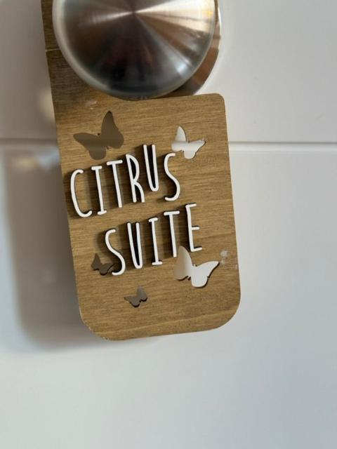 Citrus Suite By Alhaurin Loft City Center Alhaurín de la Torre Exteriör bild